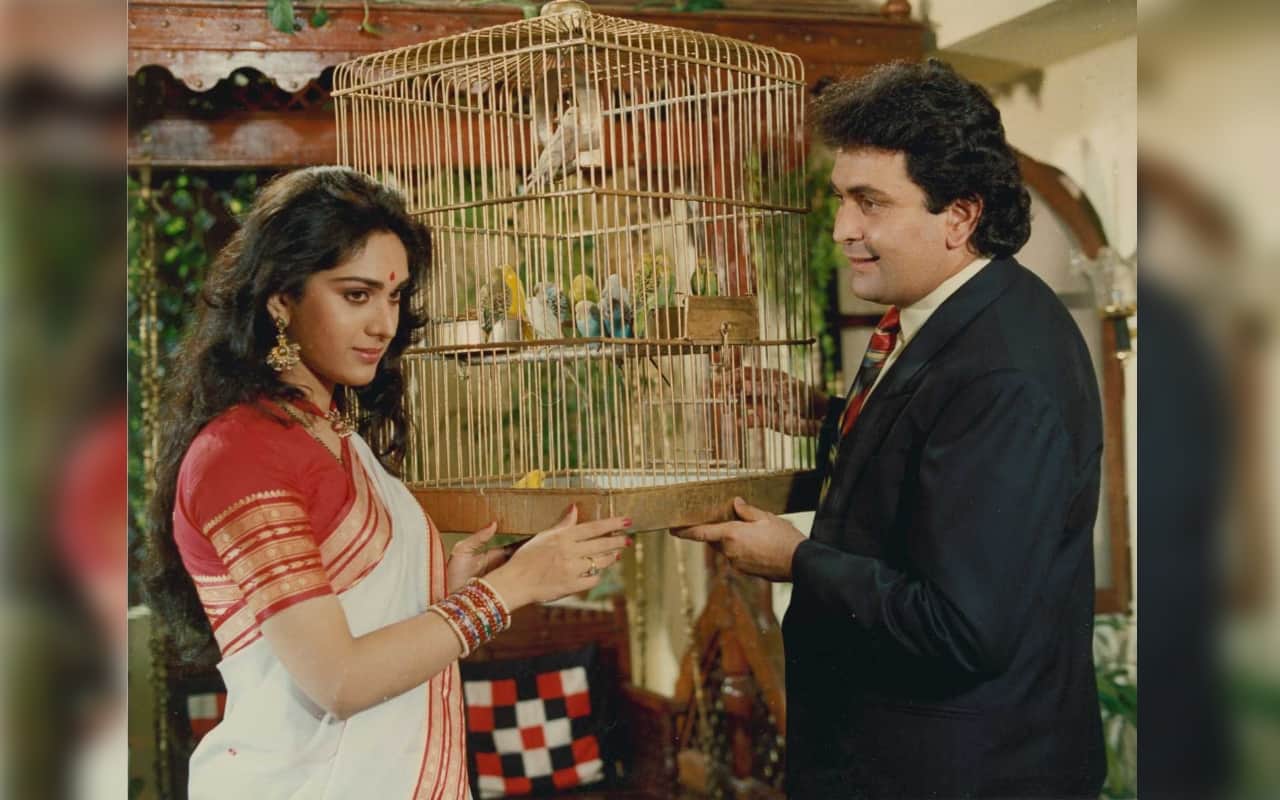 28 Years Of Damini film Rishi Kapoor Meenakshi Seshadri Sunny Deol and Amrish Puri casting unknown facts