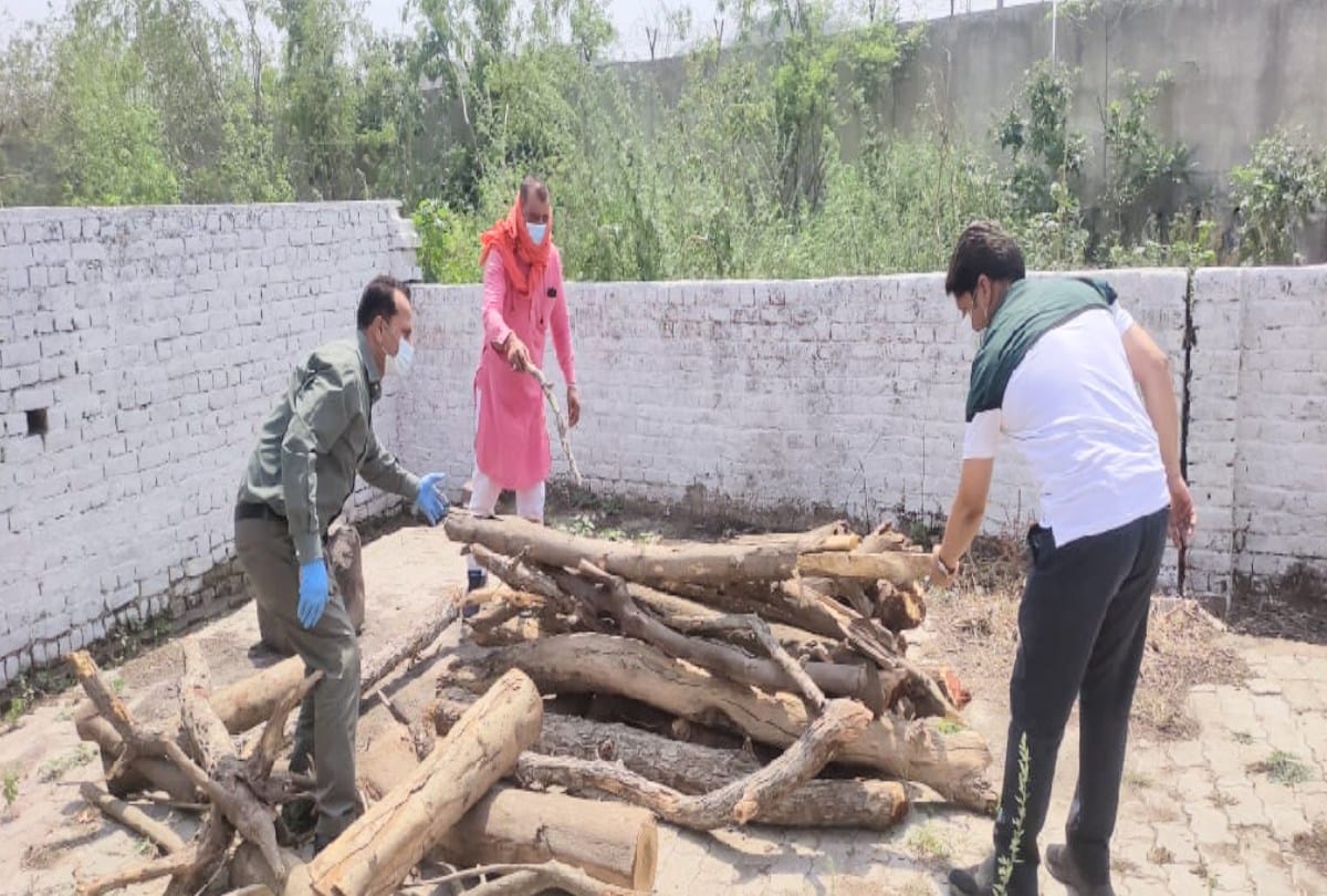 Tehsildar and EO arranged  wood for funeral of Corona positive deceased in baddi himachal