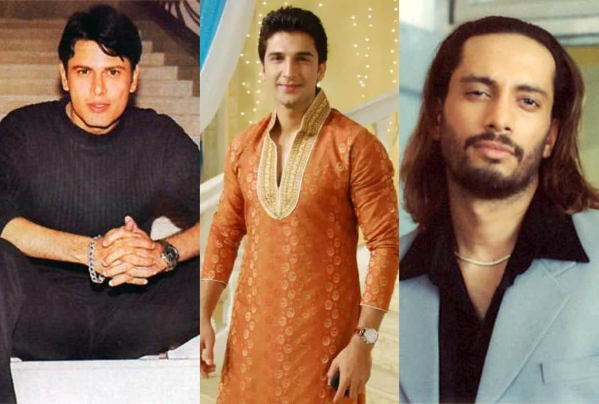 Akashdeep Saigal To Anuj Saxena These Five Television Actors Far From Limelight