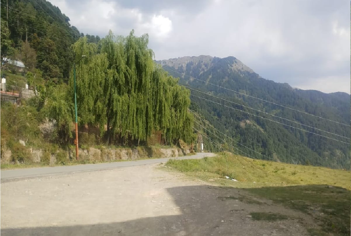 Business collapses due to Coronavirus jammu kashmir Patnitop conditions