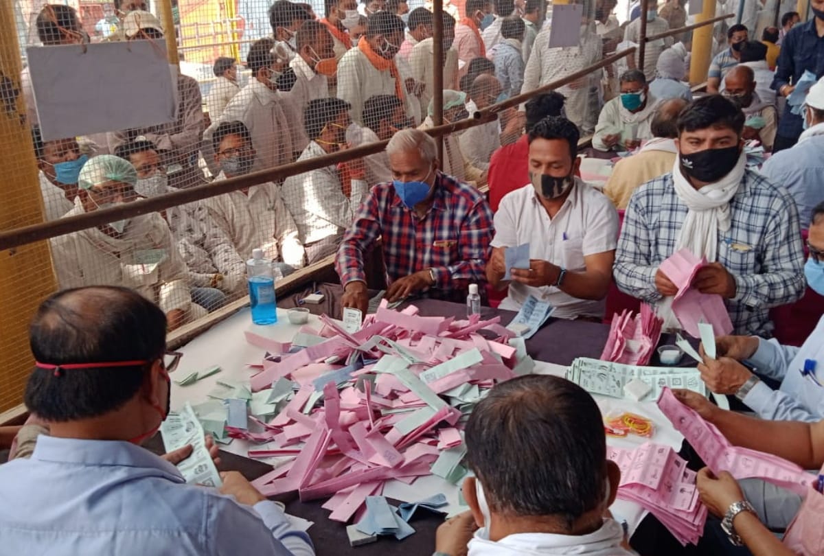 up panchayat chunav result 2021: Ghaziabad gautambudh nagar hapur bulandshahr