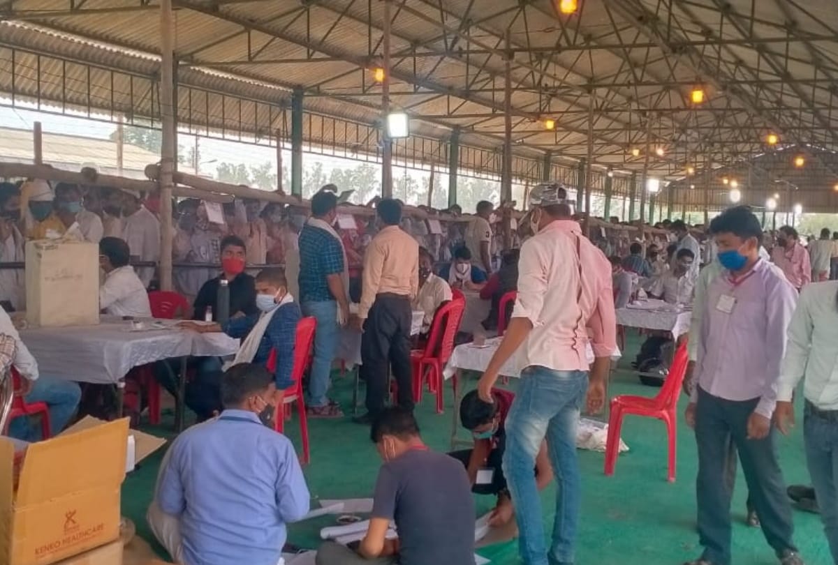 teachers association raises question on giving wrong data of teachers death in panchayat election