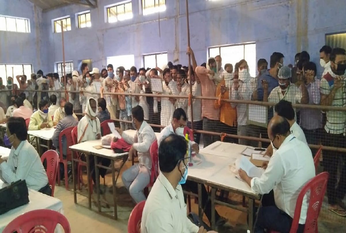 UP Panchayat elections: farmers anger over BJP, party clean from western Uttar Pradesh, weak in Purvanchal too