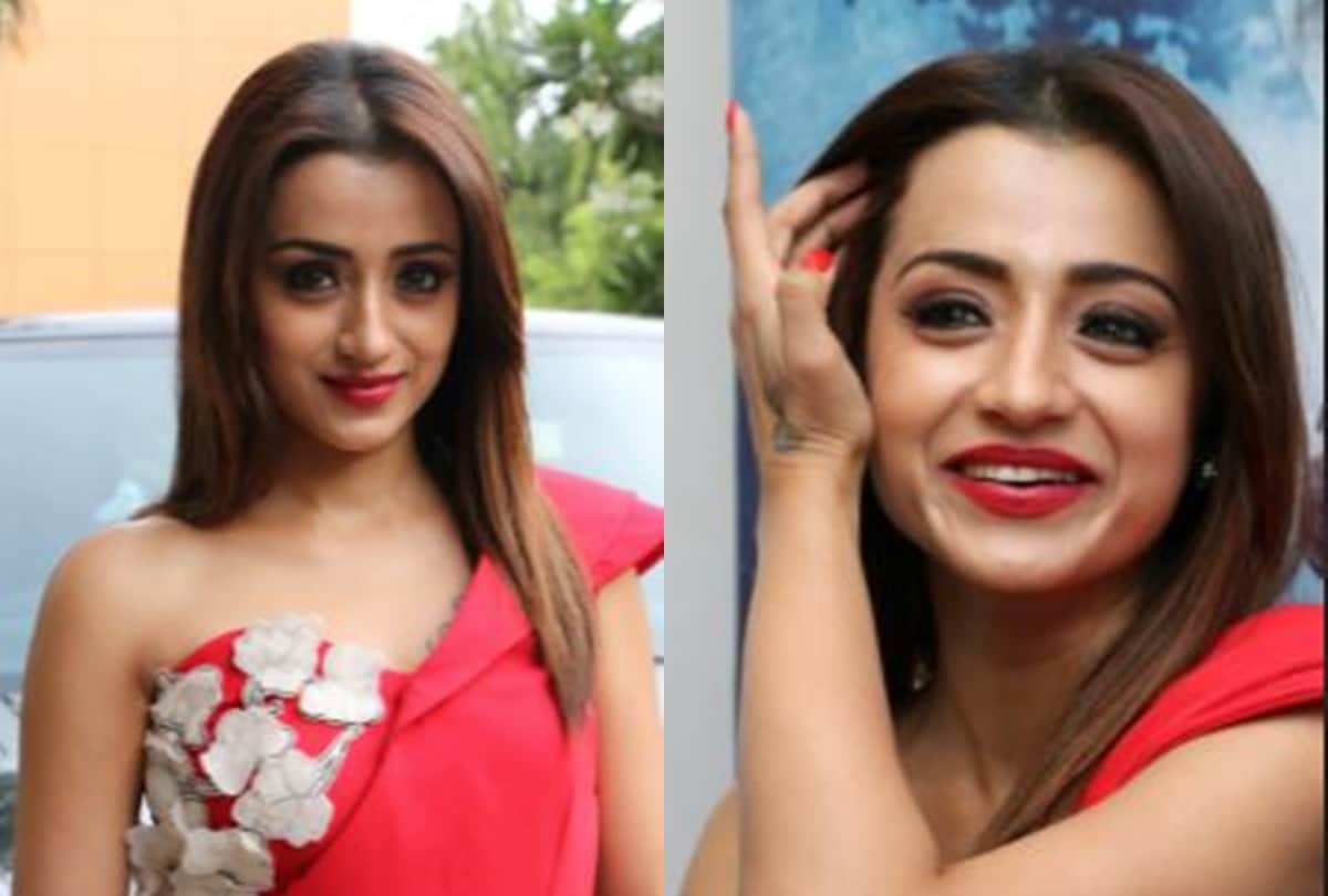 Trisha Krishnan birthday special lesser known facts about south Indian Beauty