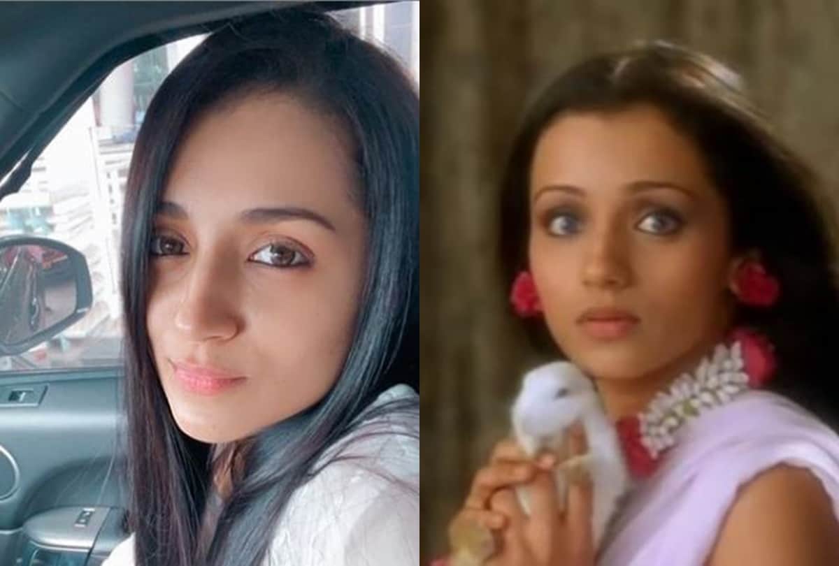 Trisha Krishnan birthday special lesser known facts about south Indian Beauty