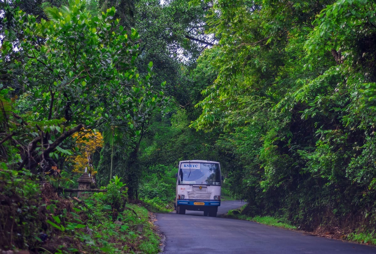 Tourist guide These four places in Kerala are best for spending holidays
