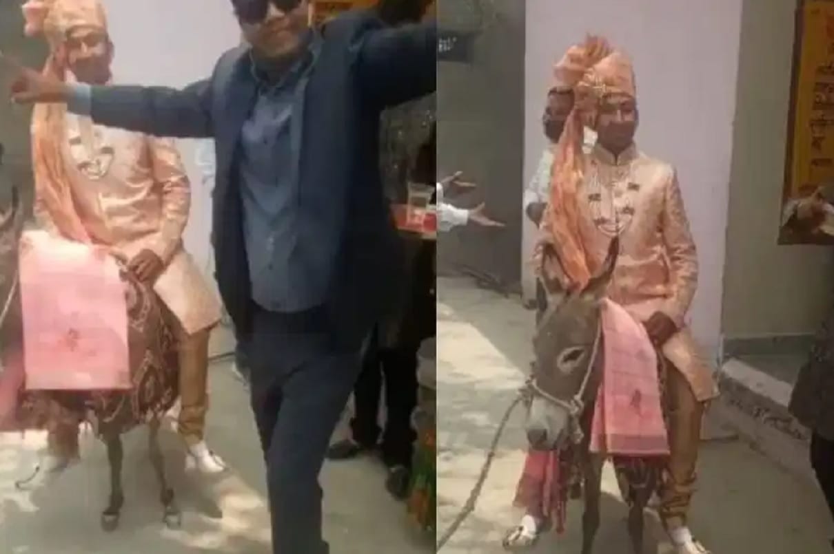 viral video groom sitting on donkey marriage relatives