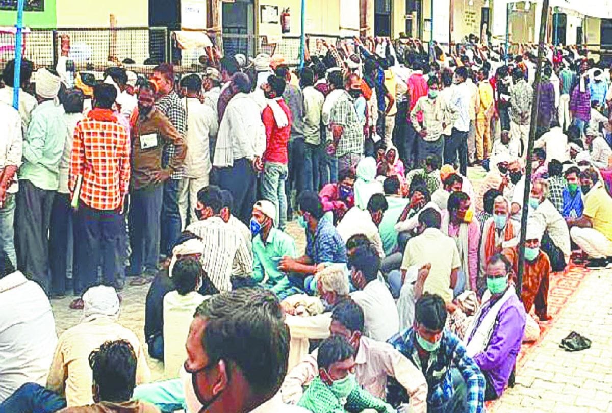 zila panchayat chunav winners: samajwadi party leads in etah district