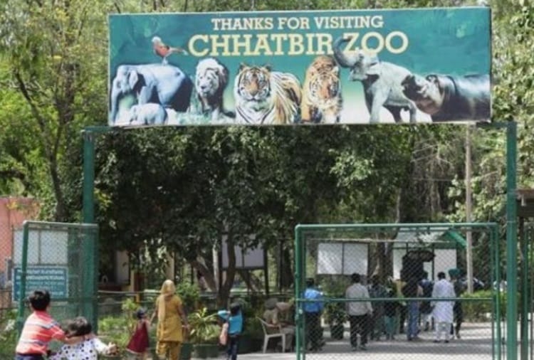 Chhatbir Zoo is Closed till May 15 due to Corona