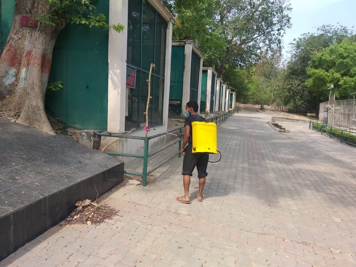vigilance increased of Sarnath zoo after eight lions found corona positive in Hyderabad