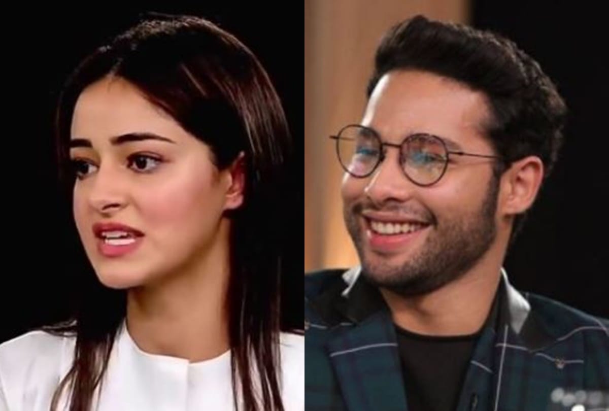 Ananya pandey reacted to user comment who called her struggling didi
