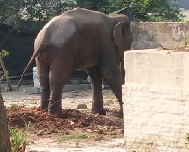 Unmatched in chains for a year and a half, no one is paying attention in chandauli