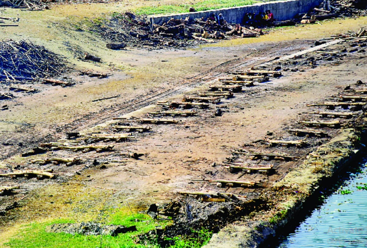 Number of dead bodies goes down in graveyard of Lucknow.