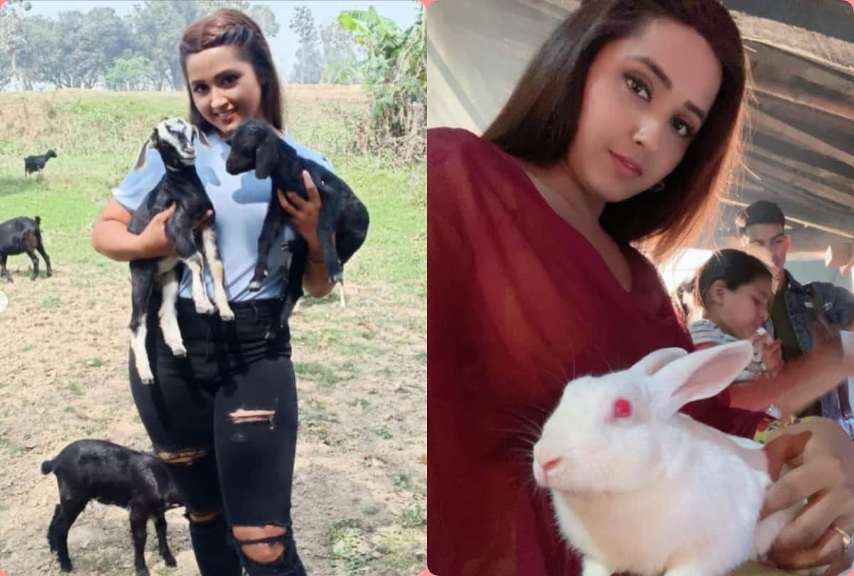 bhojpuri actress kajal raghwani reveals why she visited hospital amid corona pandemic for pet dog