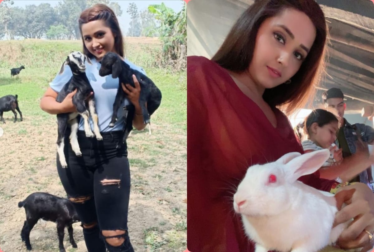 bhojpuri actress kajal raghwani reveals why she visited hospital amid corona pandemic for pet dog