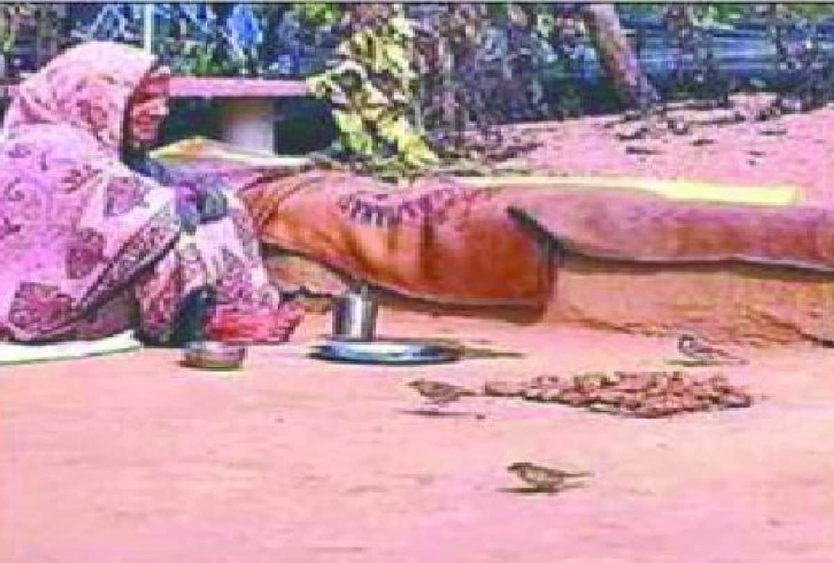 more than seven hundred corona patients recover in last 24 hours in Agra