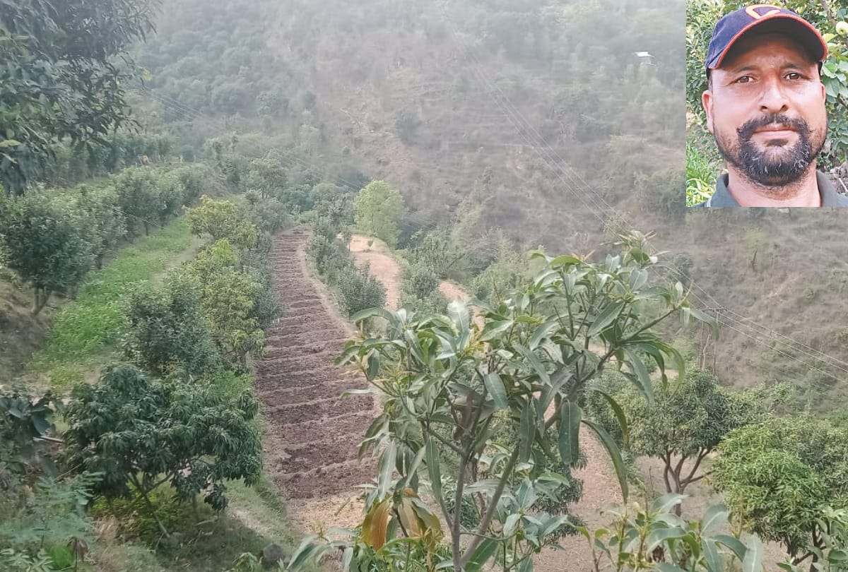 army Jawan Parveen chand orchard in 28 bigha land in Bilaspur Himachal Pradesh