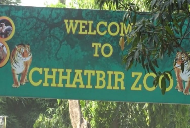 Zoo closed for people till 31 May in Punjab