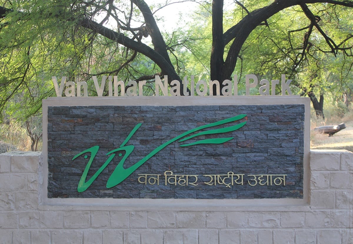 Madhya Pradesh Bhopal: Van Vihar officials on toes after eight lions in Hyderabad zoo test corona positive