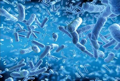 Health: 'Endolysin' will eliminate the bacteria that have become a problem worldwide, researchers have found a special substance researchers found special substance Endolysin eliminate bacteria problem worldwide problem