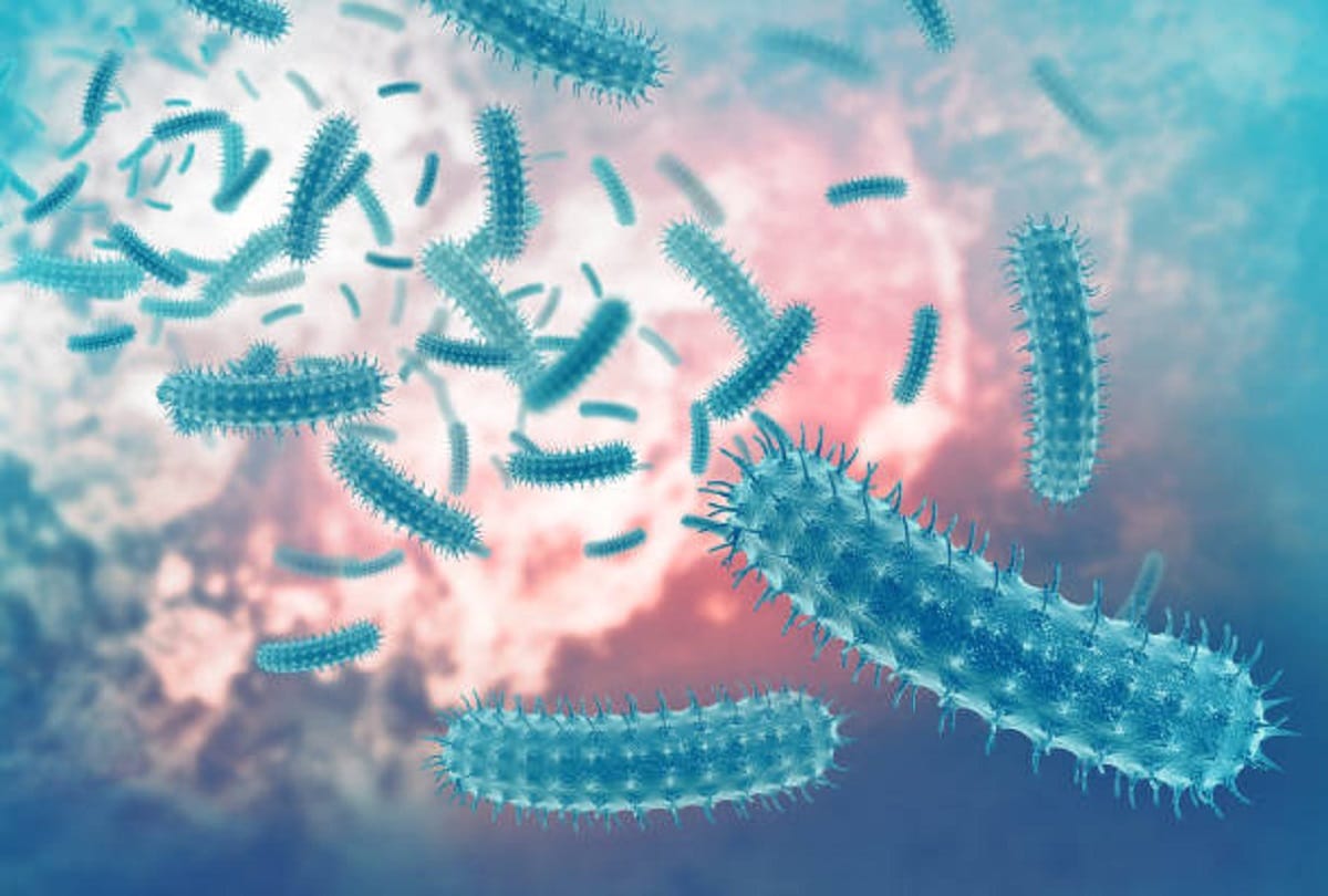 A new way to name of bacteria 300-year-old system revised