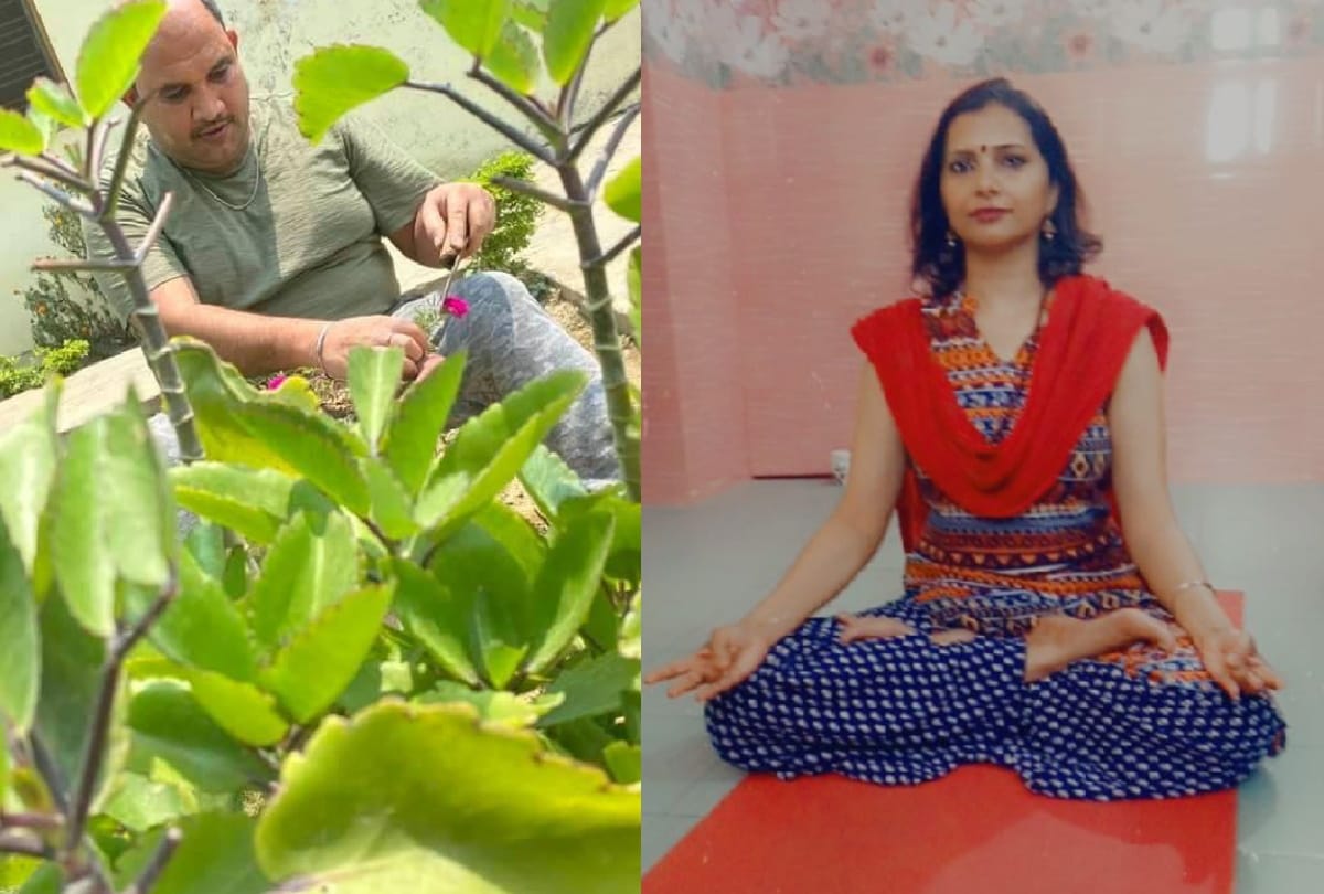 Gorakhpur university professor maintaining health during Corona curfew