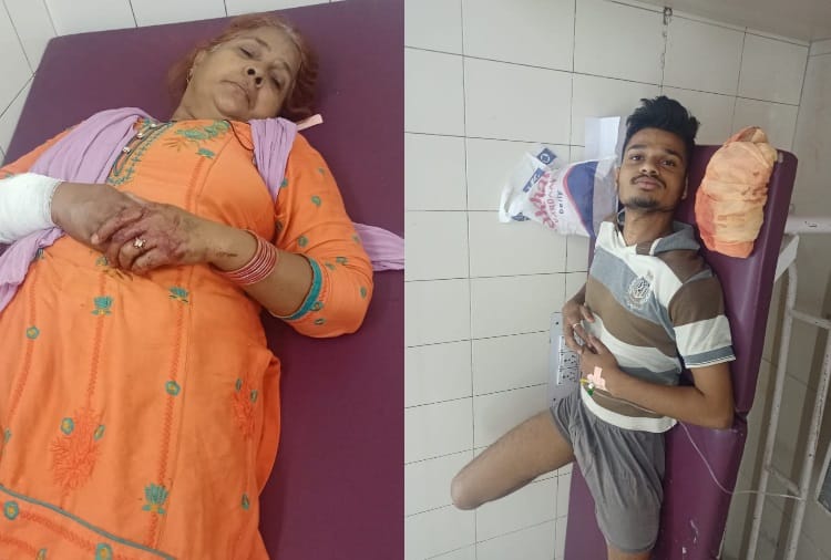 Four Injured in Firing at Hisar of Haryana
