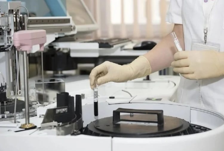 Central Horse Research Center of Hisar will Research on Viruses found in Animals
