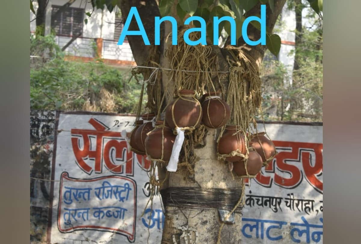 Corona death cases of UP Gorakhpur Toll Hidden By Government but show Hanging pitcher in peepal tree