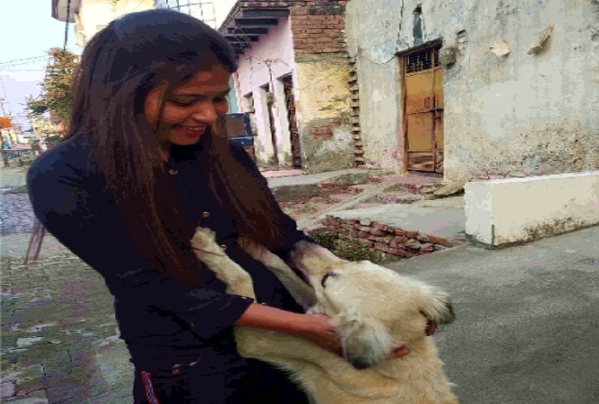 Owner dies due to corona dog adopted in aligarh
