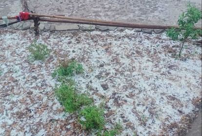 UP News Crop damaged in seven districts of Purvanchal and Bundelkhand due to hailstorm