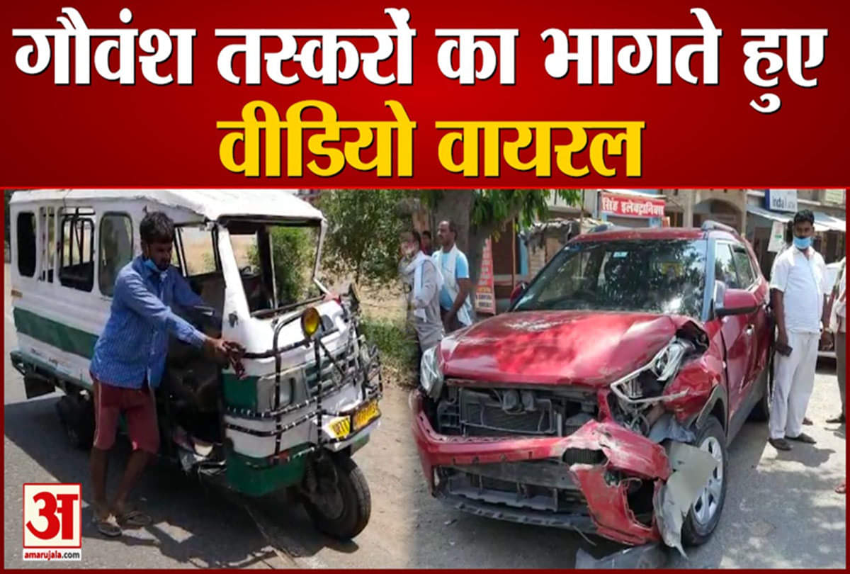 गोवंश तस्करों का वीडियो हुआ वायरल