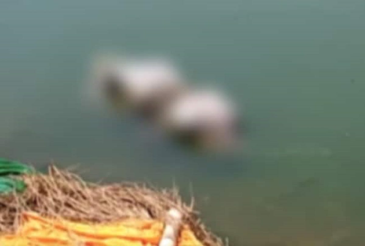 Ghazipur news more than 24 dead bodies floting in river ganga near ghazipur buxar in bad condition
