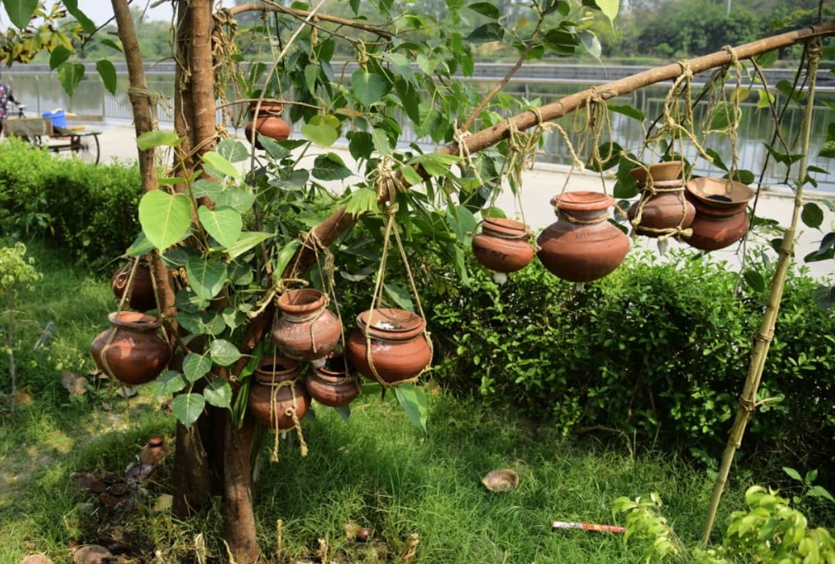 Lucknow is seeing big number of deaths in covid era.