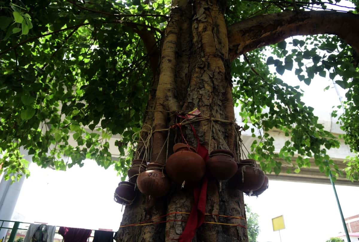 Lucknow is seeing big number of deaths in covid era.