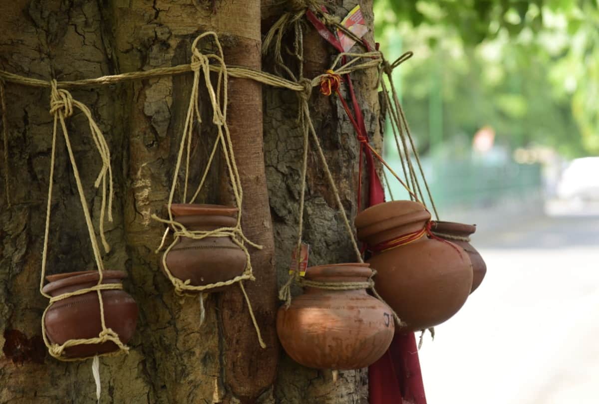 Lucknow is seeing big number of deaths in covid era.