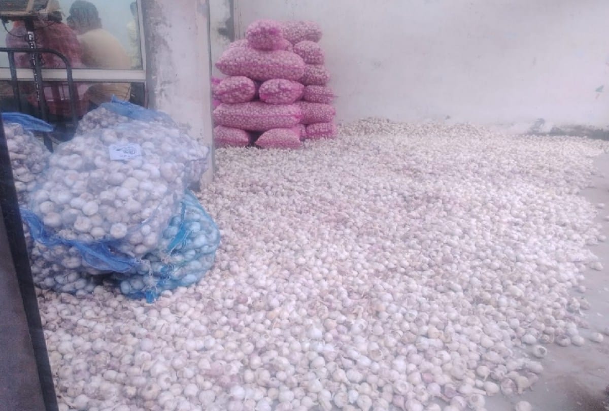 himachal pradesh solan Garlic Supply to Bangladesh