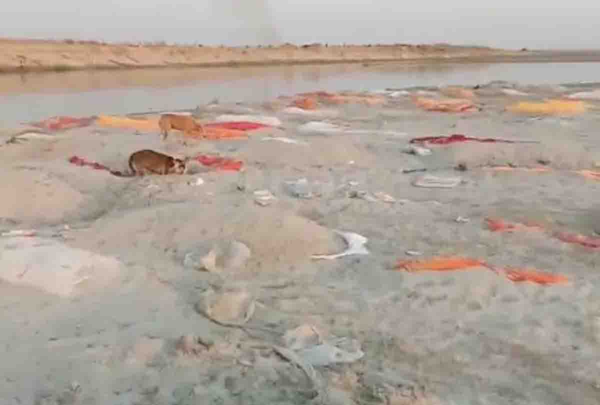 Hundreds of bodies buried on sand dunes built between the Ganga stream