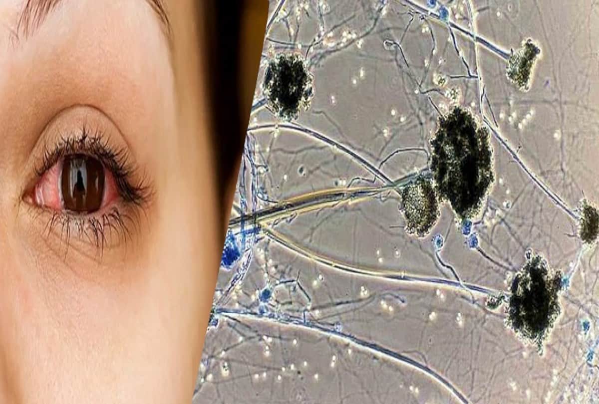 Hindi News Headlines 15 may Today: Important and big news stories of 15 may updates on Amar Ujala