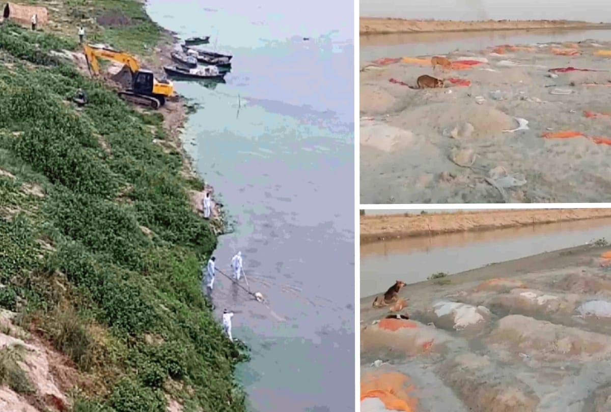 UP: Police, PAC and SDRF to do 24-hour patrolling to prevent corpses from flowing into rivers