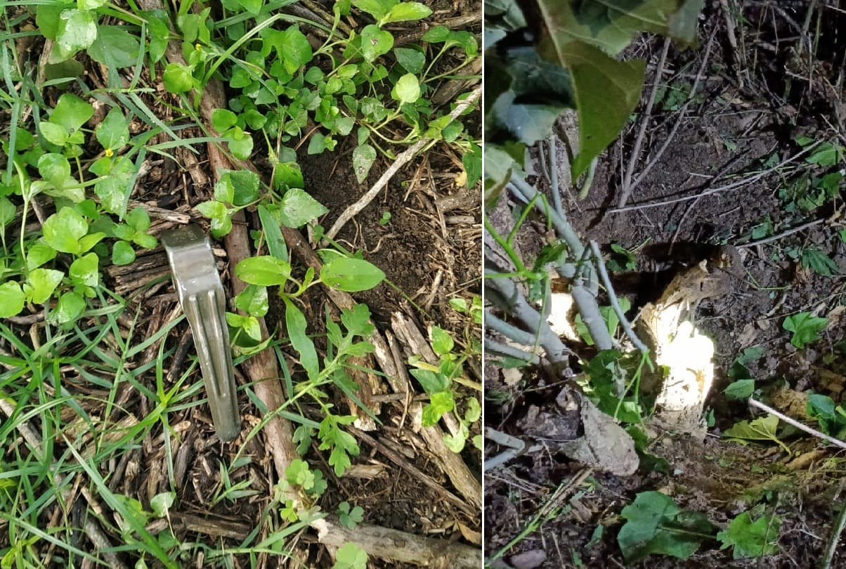 Grenade attack near Nad Police Station on Samba Mansar Marg in Jammu
