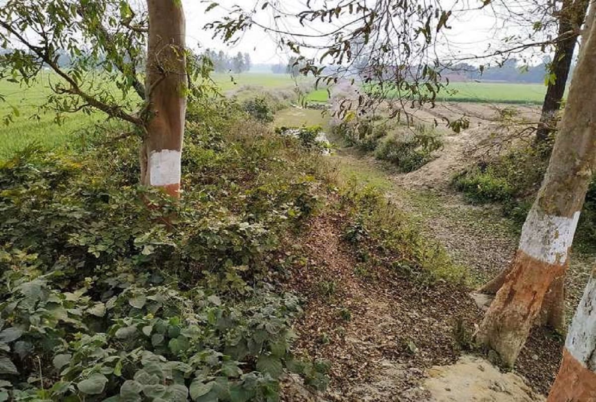 many animal dead bodies found in Jaunpur forest near Gomti river side villagers are in fear due to death from Coronavirus