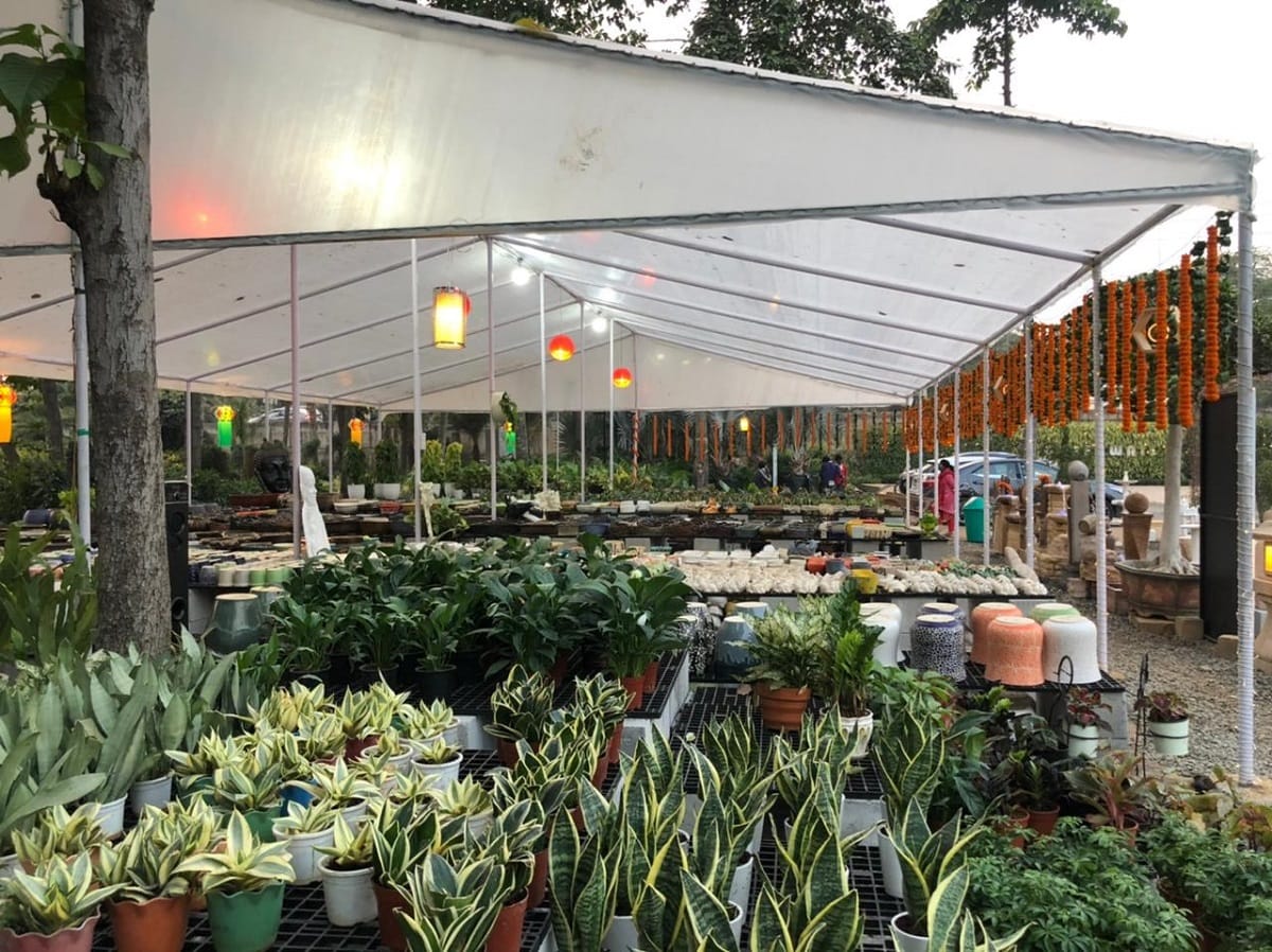 Horticulture Nursery: indian nurserymen can beat China if the government supports