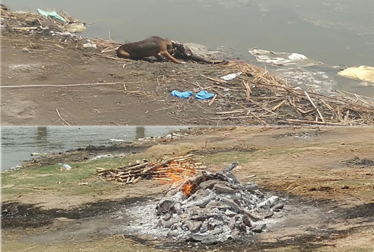 Coronavirus news, died due to corona, dead bodies in yamuna