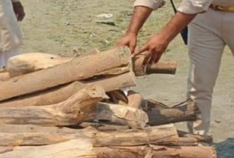 Haryana Government has decided to provide dry wood for Cremation of Corona Deceased