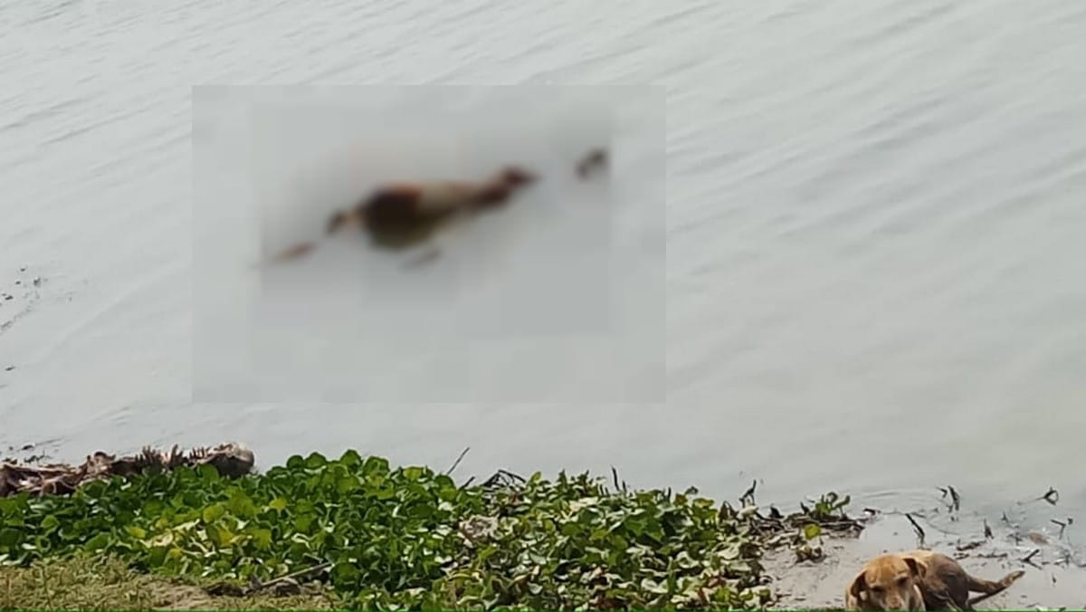 Dead bodies also found in chandauli ganga after ballia ghazipur