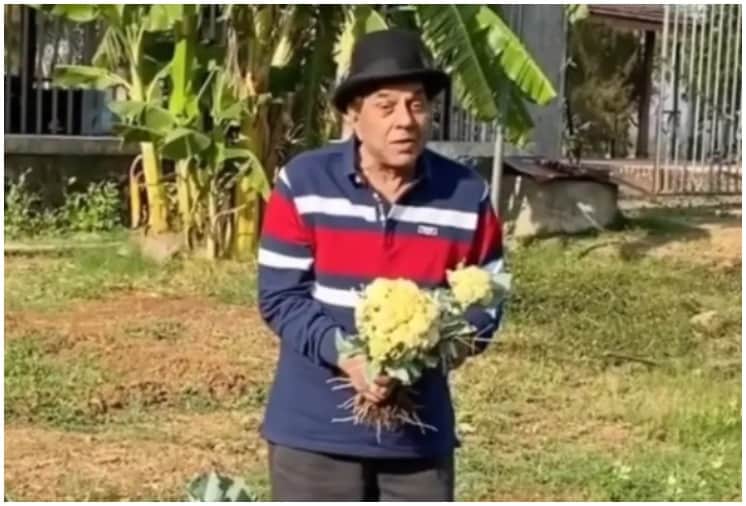New Expansion of Agricultural Tourism in Maharashtra With the help of Salman Khan and Dharmendra