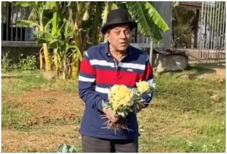 New Expansion of Agricultural Tourism in Maharashtra With the help of Salman Khan and Dharmendra