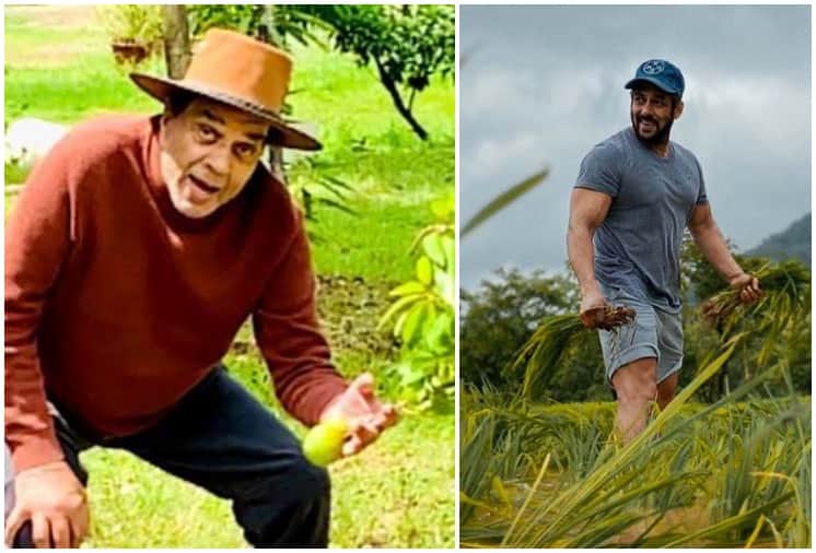 New Expansion of Agricultural Tourism in Maharashtra With the help of Salman Khan and Dharmendra