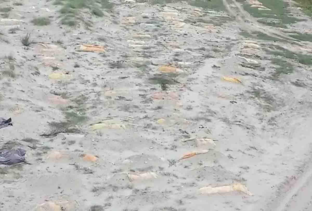 Corona death: Hundreds of dead bodies buried at Khereshwar Ghat in Kanpur